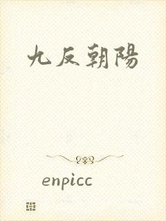 九反朝阳封面