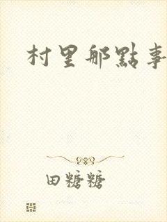 村里那点事儿封面