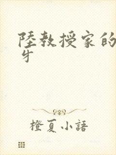 陆教授家的小月牙