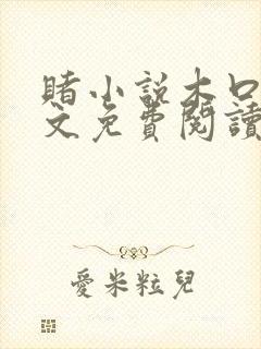 赌小说木口银全文免费阅读笔趣阁