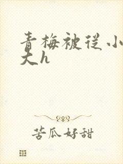 青梅被从小摸到大h