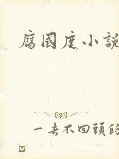 腐国度小说