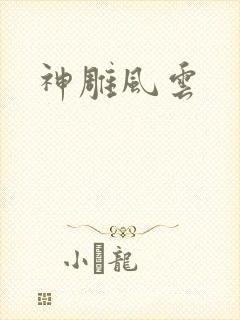 神雕风云