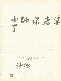 少帅你老婆又跑了封面