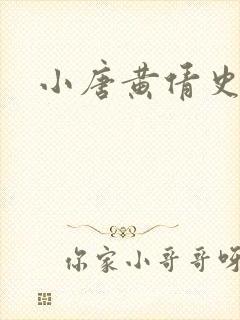 小唐黄倩史