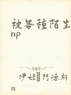 被各种陌生人 np