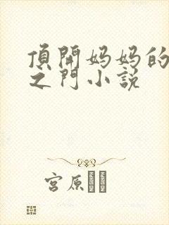 顶开妈妈的生命之门小说封面