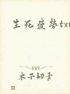 生死疲劳txt封面