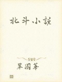 北斗小说
