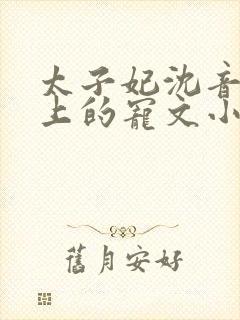 太子妃沈音和皇上的宠文小说封面