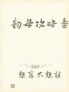 韵母攻略番外封面