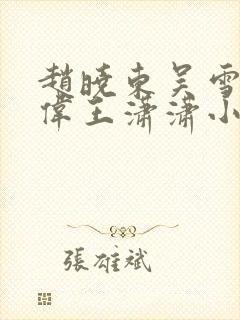 赵晓东吴雪晴郑伟王潇潇小说