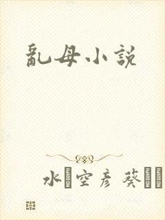 乱母小说封面
