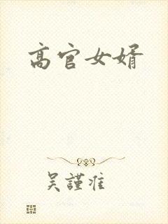 高官女婿