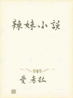 辣妹小说封面