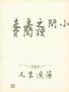 夫妻之间小说免费阅读封面