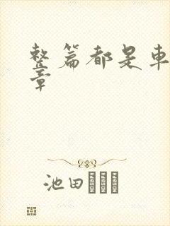 整篇都是车的文章