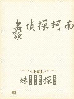 名侦探柯南h小说