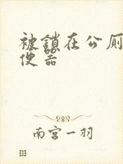 被锁在公厕当坐便器