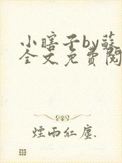 小瞎子by苏软全文免费阅读