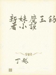 新妹魔王的契约者小说