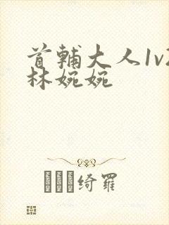 首辅大人1v2林婉婉封面