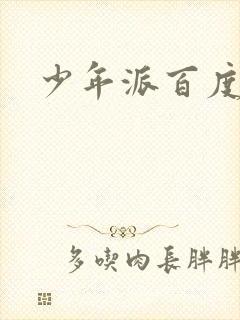 少年派百度百科