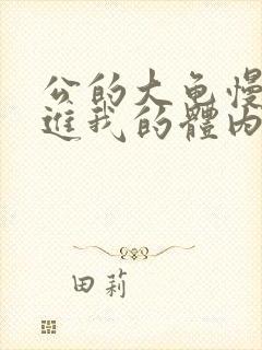 公的大龟慢慢挺进我的体内