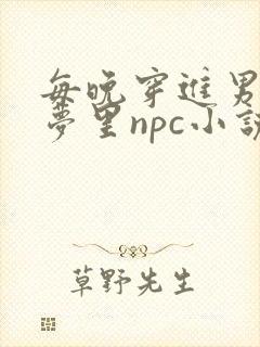 每晚穿进男神的梦里npc小说封面