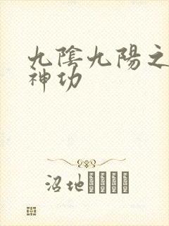 九阴九阳之阴阳神功