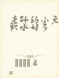 老师的小兔子好软水好多