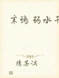 寒鸦 弱水千流封面