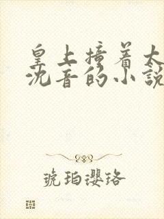 皇上撞着太子妃沈音的小说叫什么