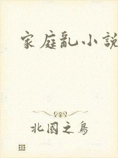 家庭乱小说