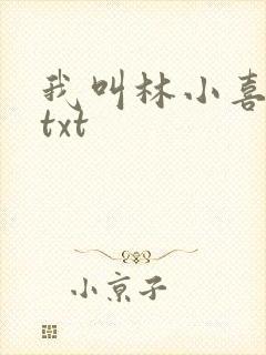我叫林小喜小说txt