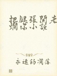 把腿张开老子臊烂你小说