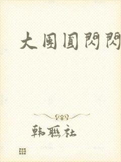 大团圆闪闪发光封面