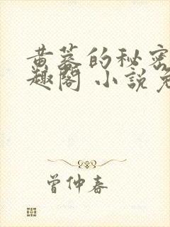 黄蓉的秘密 笔趣阁 小说免费阅读封面