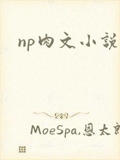 np肉文小说