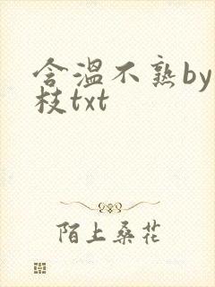 含温不熟by词枝txt