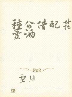 种公借配花间一壶酒