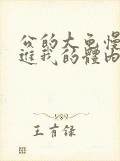 公的大龟慢慢挺进我的体内