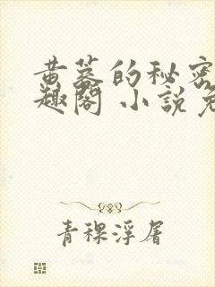 黄蓉的秘密 笔趣阁 小说免费阅读