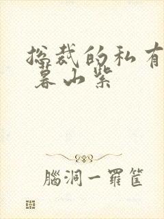 总裁的私有宝贝 暮山紫封面