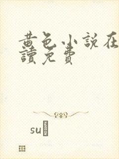 黄色小说在线阅读免费