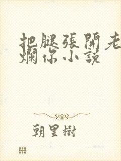 把腿张开老子臊烂你小说