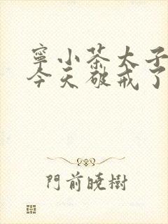 宁小茶太子殿下今天破戒了吗免费阅读