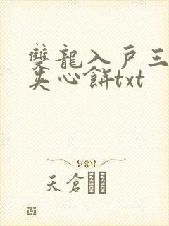 双龙入户三人行夹心饼txt