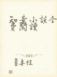 知意小说全文免费阅读