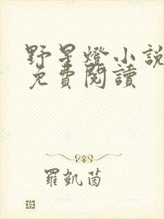 野星灯小说全文免费阅读